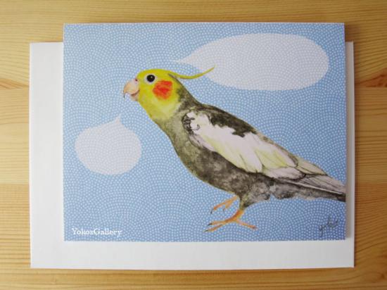 グリーティングカード セリフが書けるグリーティングカード (ブルー)オカメインコ - 小鳥雑貨専門のお店 スウィート・バーディー・ブティック