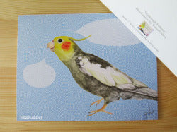 グリーティングカード セリフが書けるグリーティングカード (ブルー)オカメインコ - 小鳥雑貨専門のお店 スウィート・バーディー・ブティック