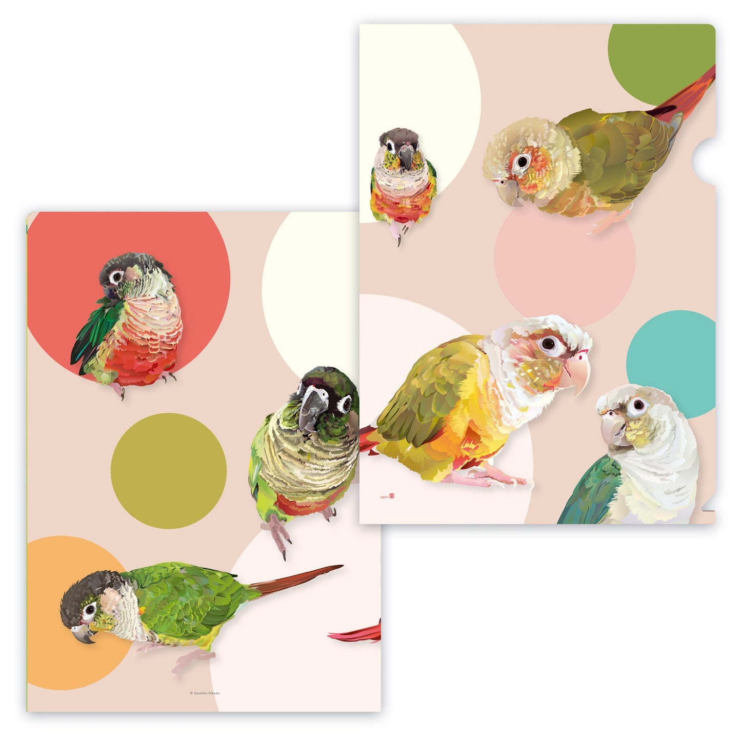 Conure A4 File Folder Organizer