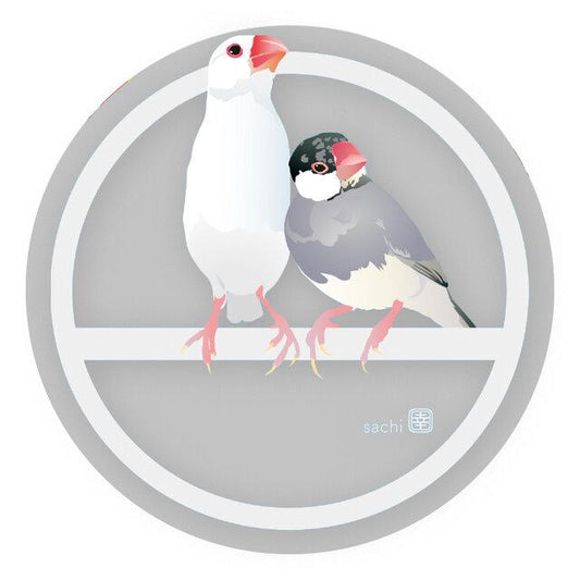 Java Sparrow Acrylic Coaster