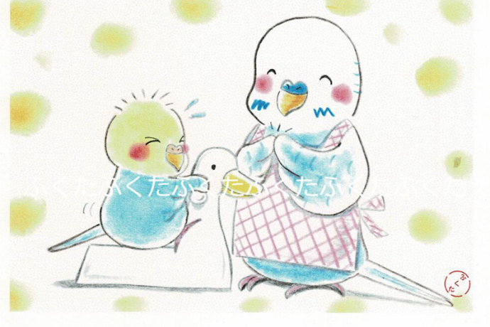 Budgie Postcard