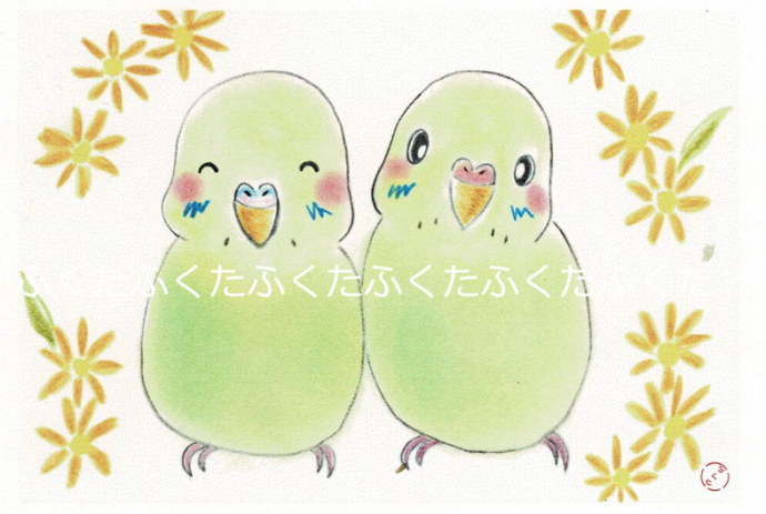 Budgie Postcard