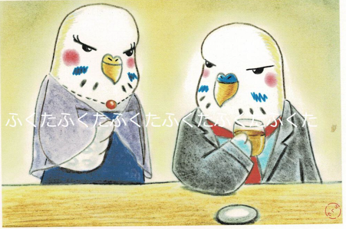 English Budgie Postcard