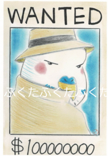 English Budgie Postcard