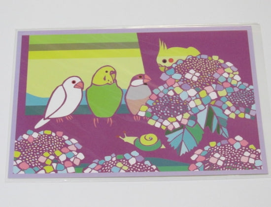 Java Sparrow Budgie Budgerigar Parakeet Cockatiel Postcard Yukie-36 - Boutique SWEET BIRDIE