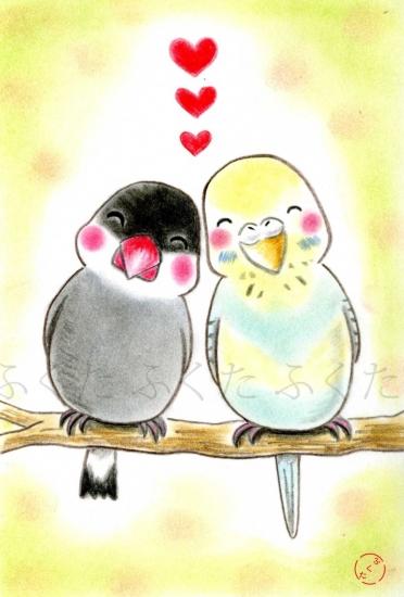 Java Sparrow Budgie Budgerigar Parakeet Postcard - Boutique SWEET BIRDIE