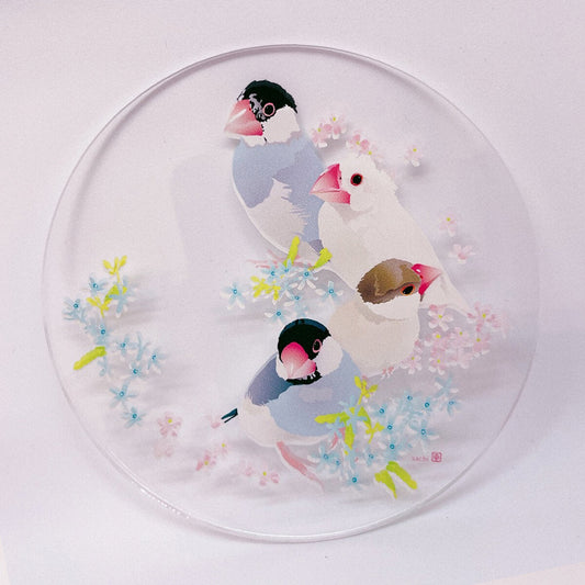 Java Sparrow Acrylic Coaster