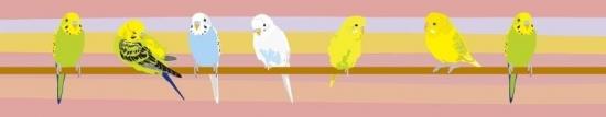 Budgerigar Budgie Parakeet Japanese Washi Tape Masking Tape Paper Tape - Boutique SWEET BIRDIE