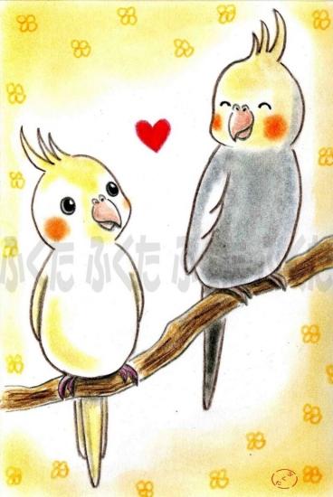 Cockatiel Postcard - Boutique SWEET BIRDIE
