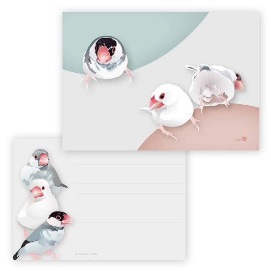 Java Sparrow Memo Pad