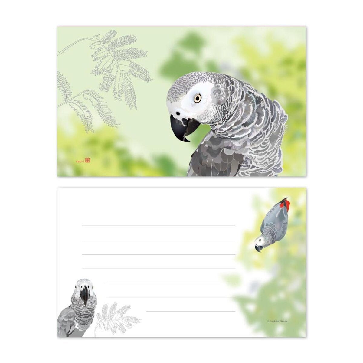 Set of 10 African Gray Parrot Mini Message Card