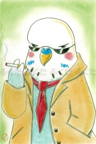 Budgie Budgerigar Parakeet Postcard - Boutique SWEET BIRDIE