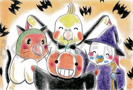 Lovebird CockatielbBudgie Budgerigar Parakeet Postcard Fukuta-51 - Boutique SWEET BIRDIE