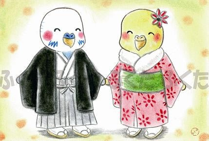Budgie Budgerigar Parakeet Postcard Fukuta-56 - Boutique SWEET BIRDIE
