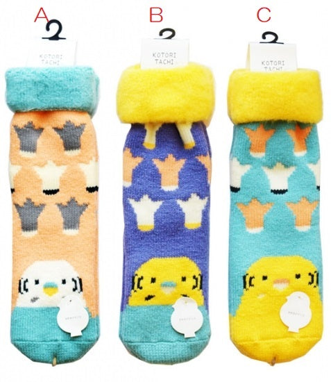 Budgie Budgerigar Parakeet Room Socks
