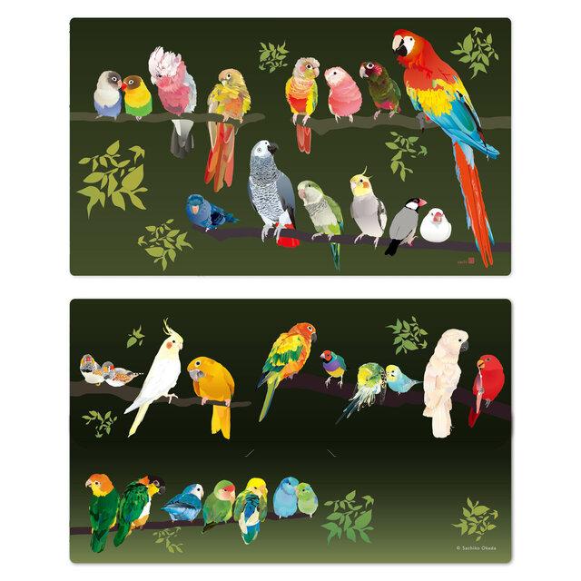 Lovebird Galah Conure Bourke's Parakeet Macaw Barred Parakeet African Gray Parrot Monk Parakeet Cockatiel Java Sparrow Zebra Finch Golden Conure Sun Parakeet Gouldian Finch Cockatoo Lorikeet File Folder