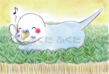 Budgie Budgerigar Parakeet Postcard Fukuta-58 - Boutique SWEET BIRDIE