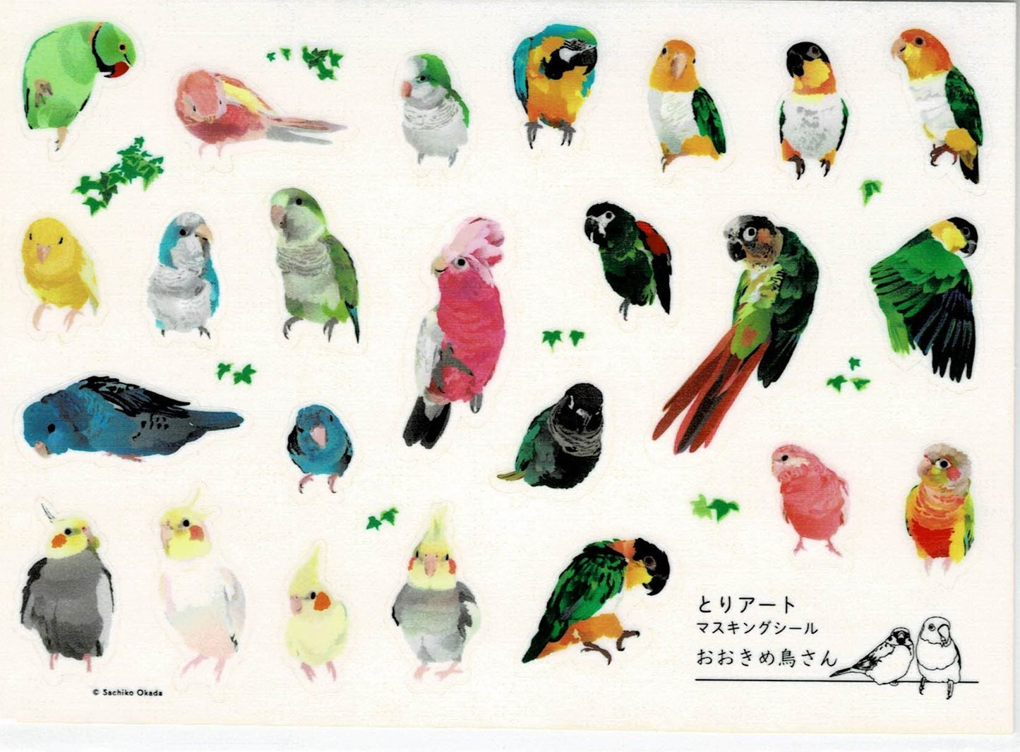 Indian Ringneck Parakeet Galah Black-Headed Caique White-Bellied Caique Barred parakeet Macaw Monk Parakeet Cockatiel Conure Bourke's Parakeet Japanese Washi Stickers