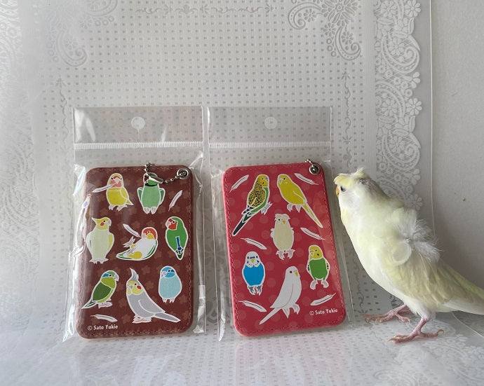 Lovebird, Indian Ringneck Parakeet, Cockatiel, White-bellied Caique, Pacific Parrotlet Pass Holder