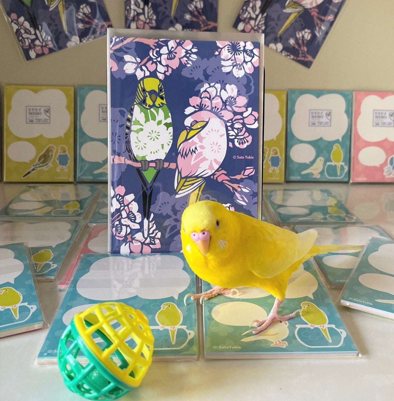 Budgie Postcard Cherry Blossom at Night