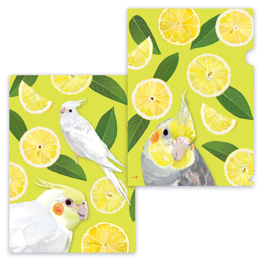 Cockatiel A4 File Folder Organizer
