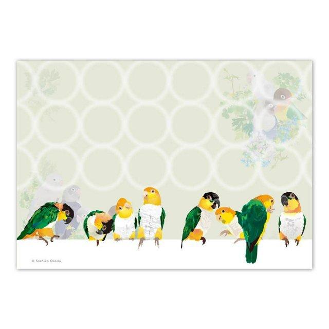 White-Bellied Caique & Black-Headed Caique Memo Pad