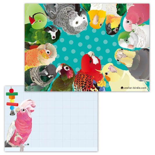 Memo Pad Indian Rose-necked Parakeet African Gray Parrot White-bellied Caique Black-headed Caique Galah Monk Parakeet Cockatiel Lorikeet Green-cheeked Parakeet Conure Macaw - Boutique SWEET BIRDIE
