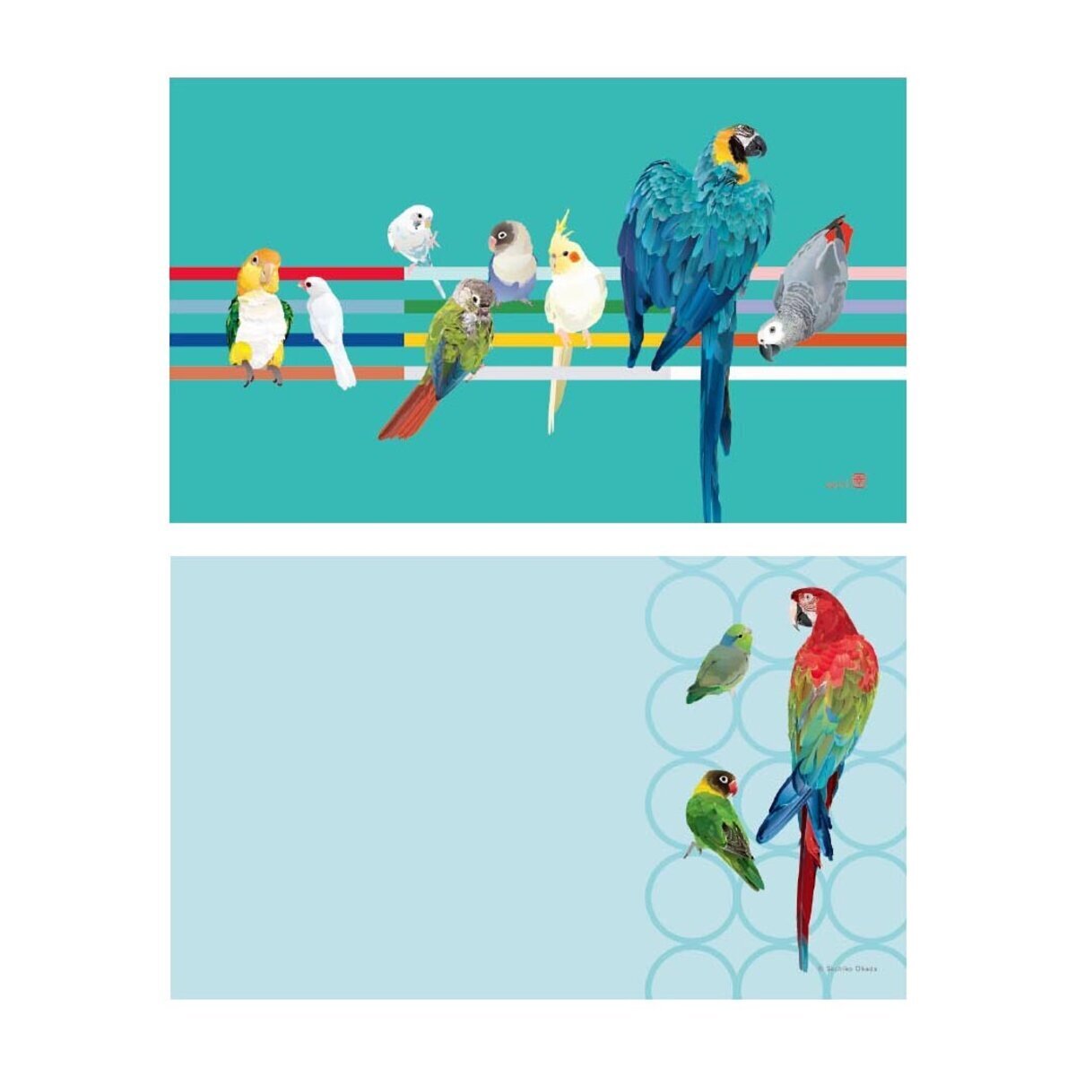 Set of 10 Birds Mini Message Card