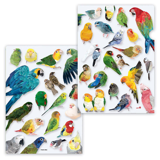 Bird A4 File Folder Organizer VIVID BIRDS
