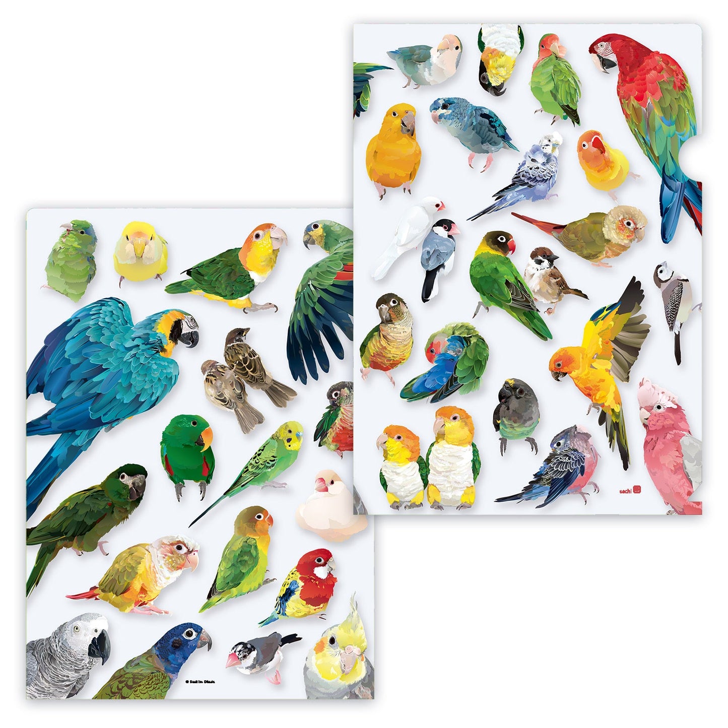 Bird A4 File Folder Organizer VIVID BIRDS