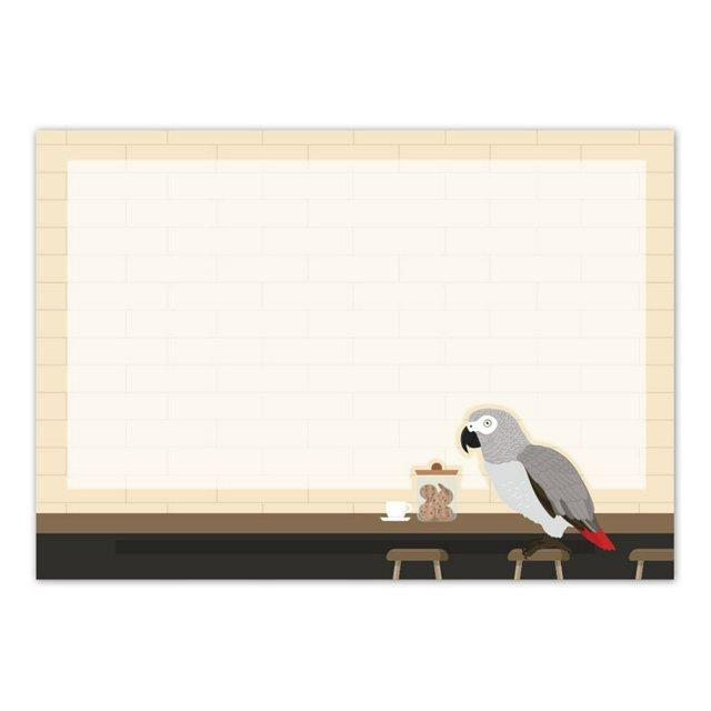 African Gray Parrot in the Cafe Memo Pad