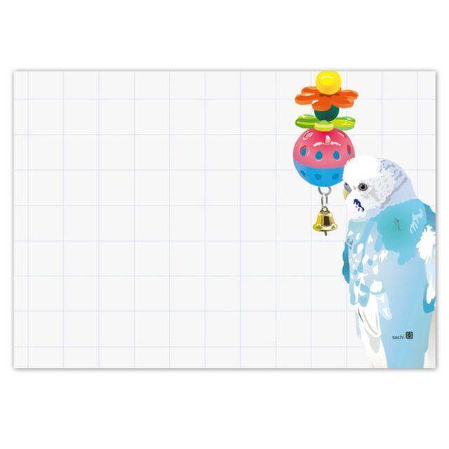 Memo Pad Zebra Finch Budgie Budgerigar Parakeet Pacific Parrotlet Lovebird Bourke's Parakeet Java Sparrow - Boutique SWEET BIRDIE