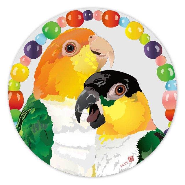 Made-to-Order White-Bellied Caique & Black-Headed Caique Acrylic Coaster – Order by Nov. 19, 2025/ Estimated Shipping Date: Mid Dec. 2025