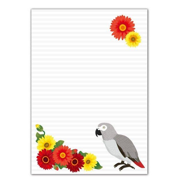 African Gray Parrot & Gerbera Memo Pad