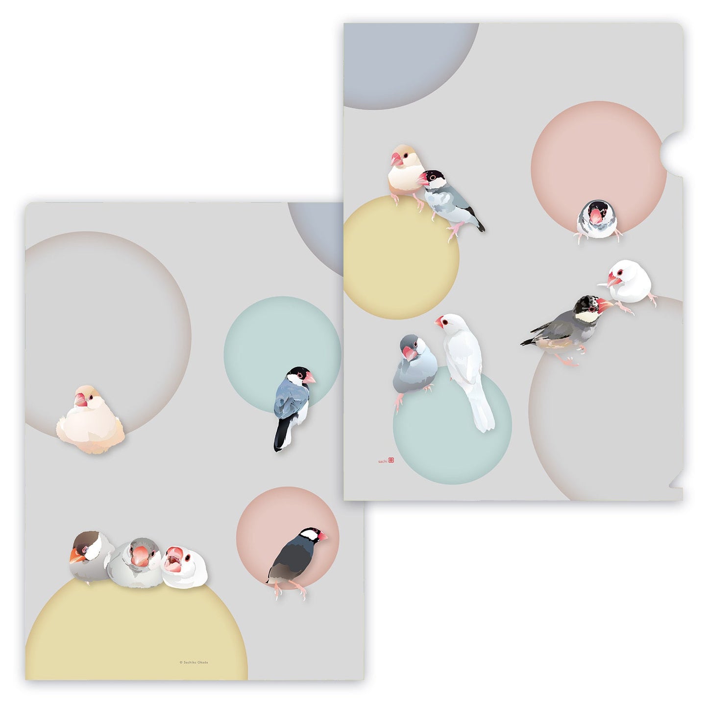 Java Sparrow A4 File Folder Organizer