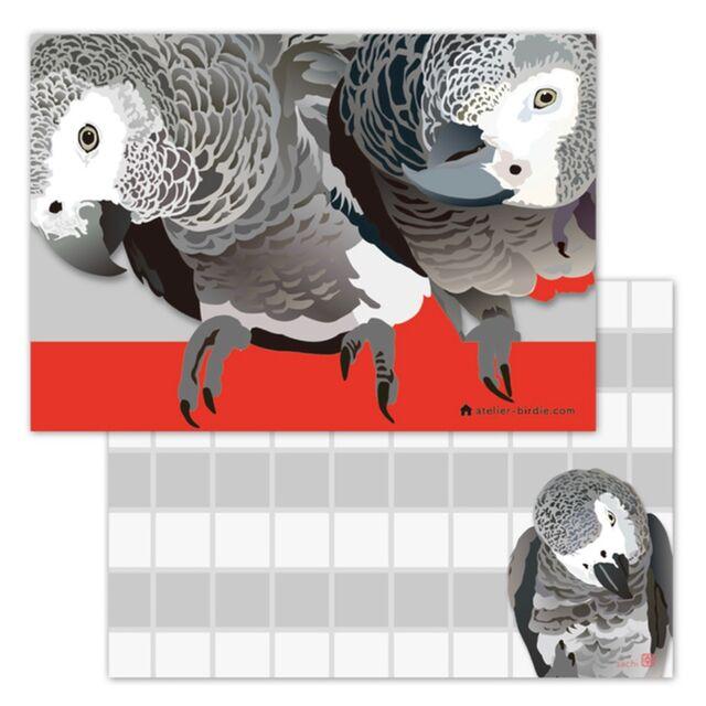 African Gray parrot Memo Pad - Boutique SWEET BIRDIE
