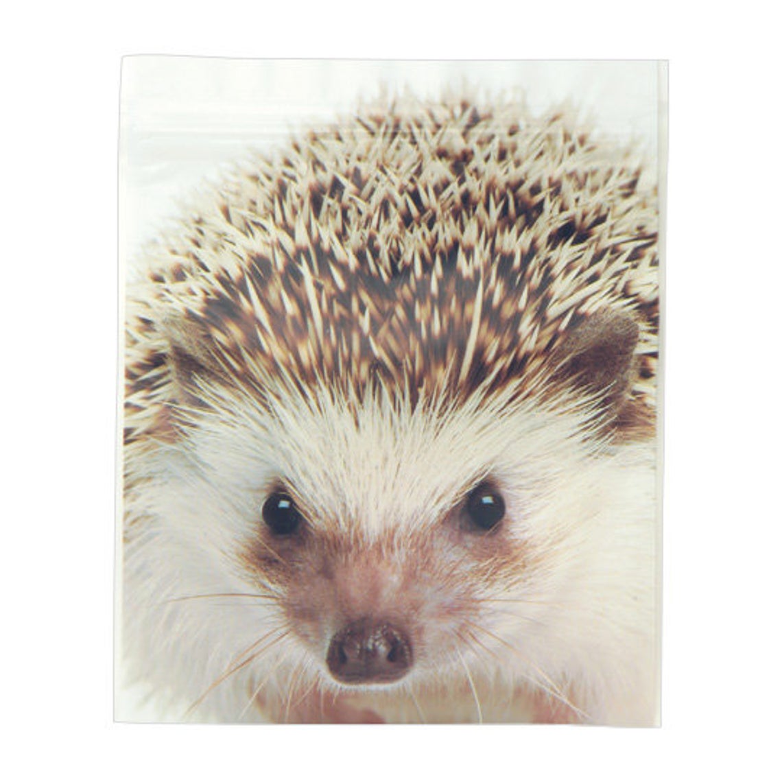 Sets of 5 Hedgehog Ziplock Bags