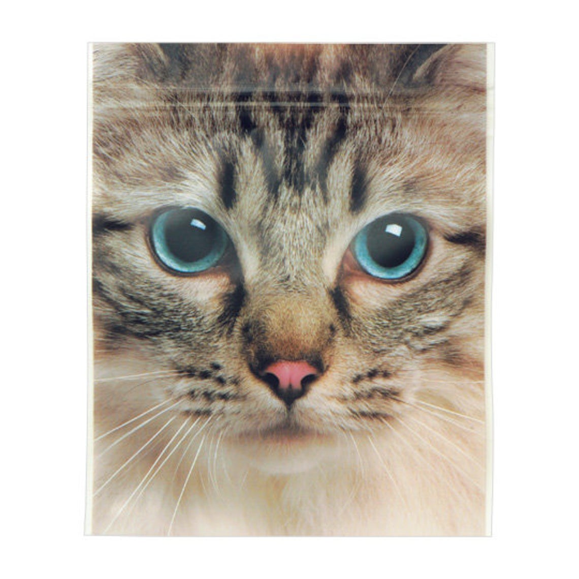 Sets of 5 Cat Ziplock Bags