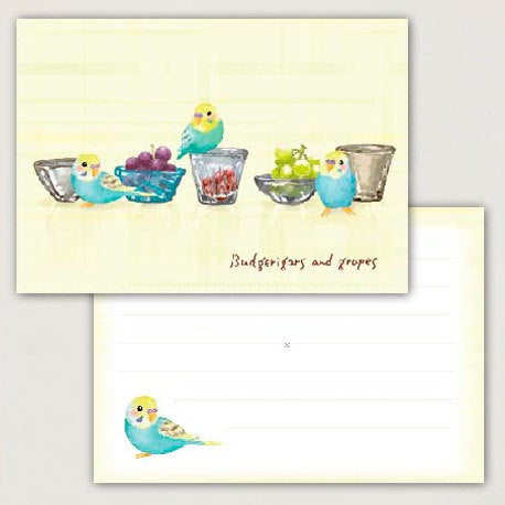 Creative Motion Budgerigar Budgie Parakeet Memo Pad (cm054) - Boutique SWEET BIRDIE
