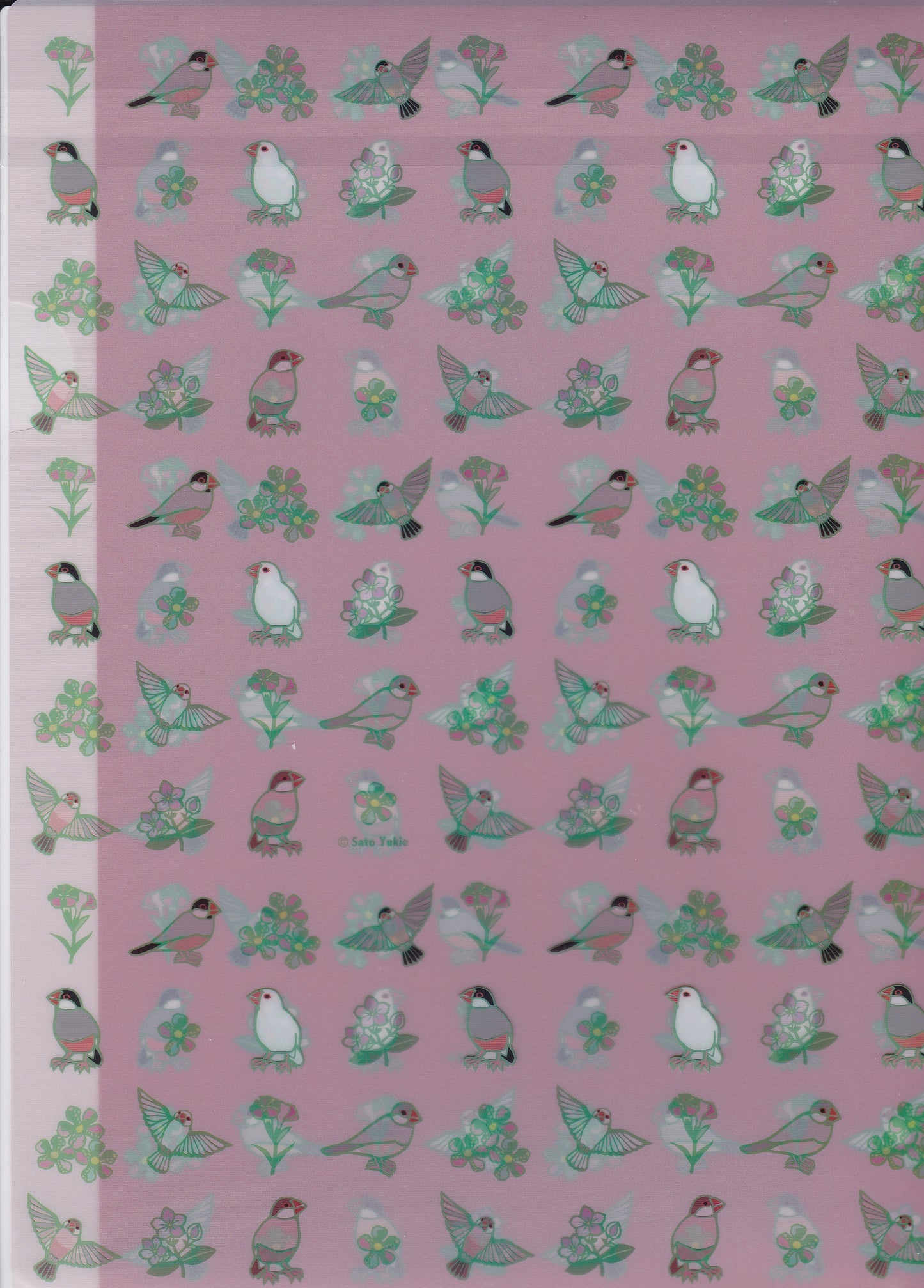A4 File Folder Organizer Java Sparrow (yukie-902) - Boutique SWEET BIRDIE
