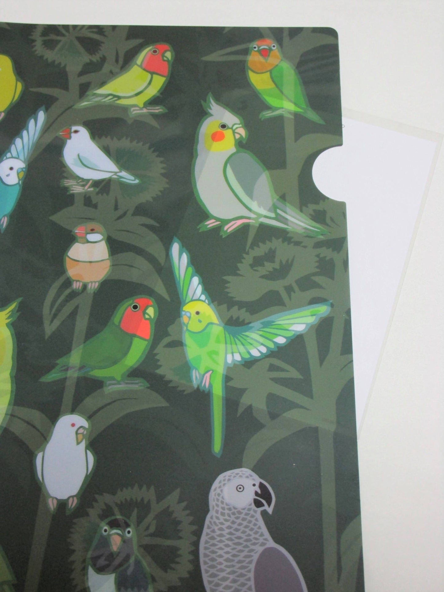 Yukie Sato A4 File Folder Organizer Java Sparrow, Budgie Budgerigar Cockatiel Monk Parakeet, African Gray Parrot Lovebird - Boutique SWEET BIRDIE
