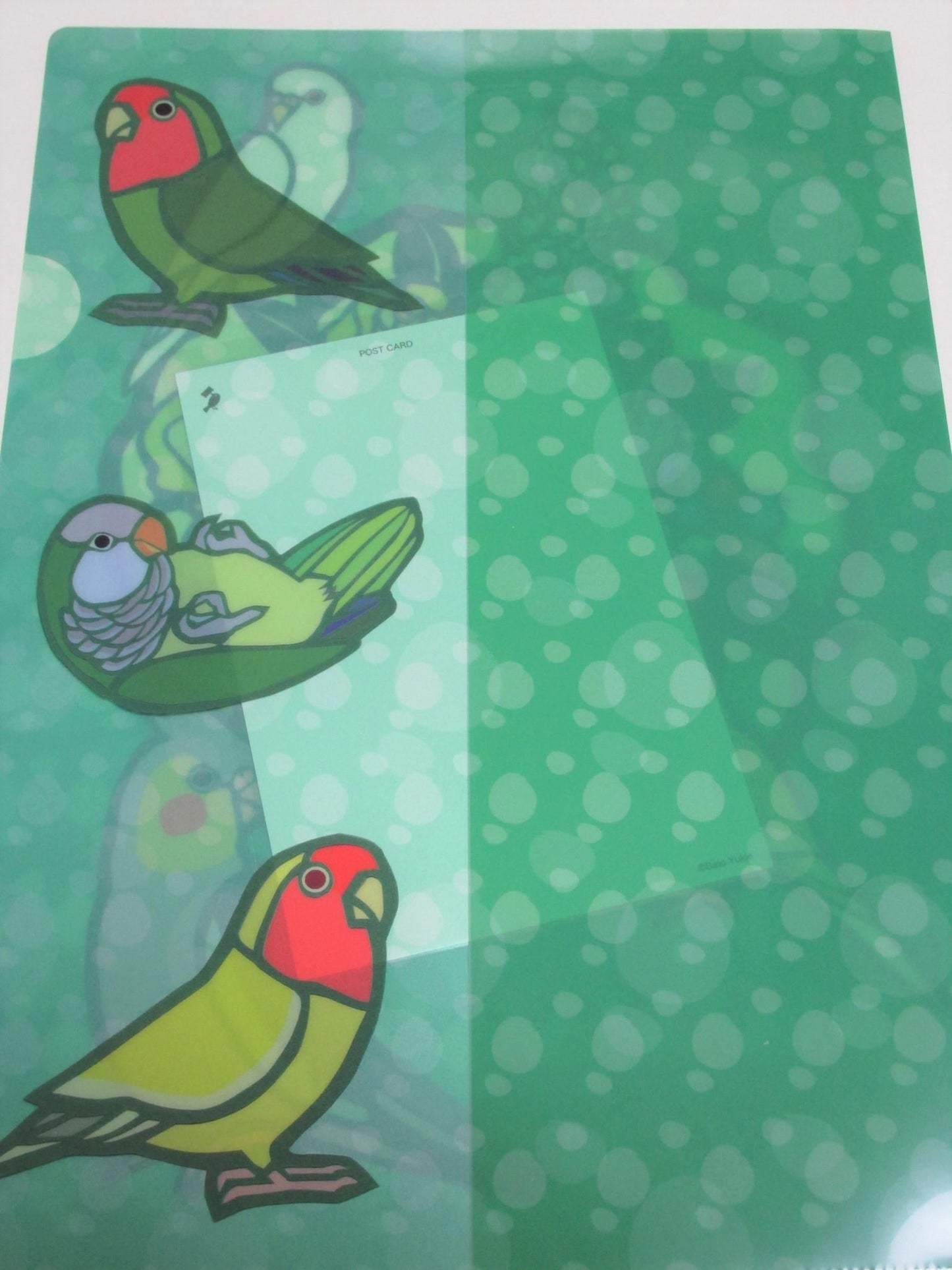 A4 File Folder Organizer Java Sparrow, Budgie Budgerigar Parakeet Cockatiel Monk Parakeet, Lovebird (yukie-903) - Boutique SWEET BIRDIE