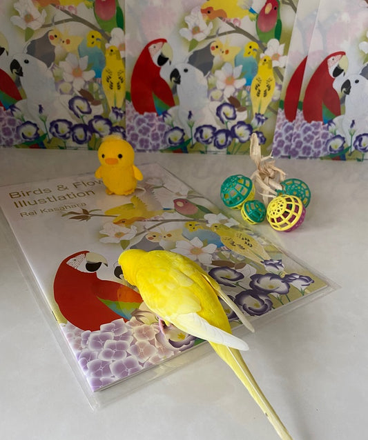 AtoriE Bird & Flower File Folder and Collection Book
