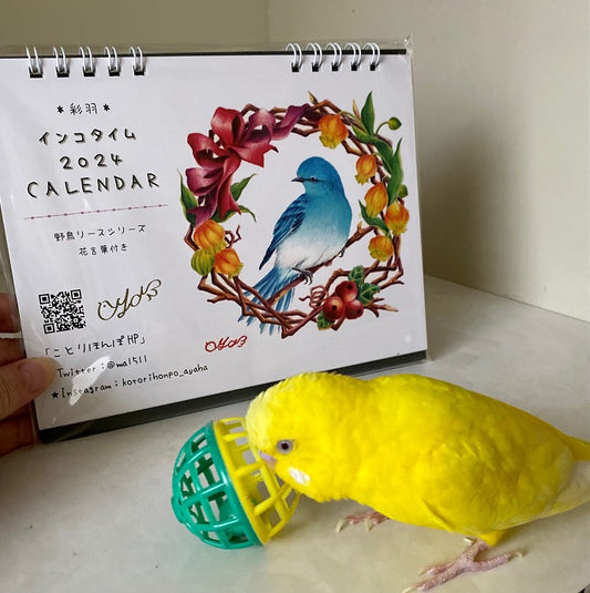 Calendars arrived!