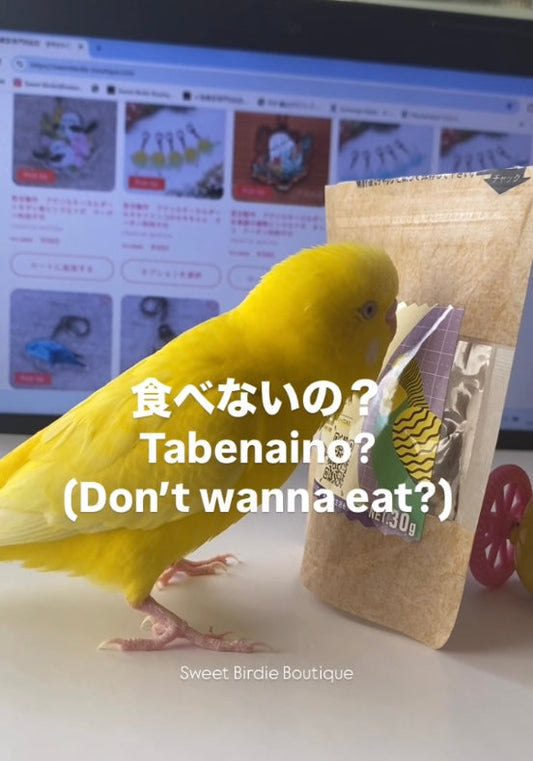 Daily Black Friday Deals