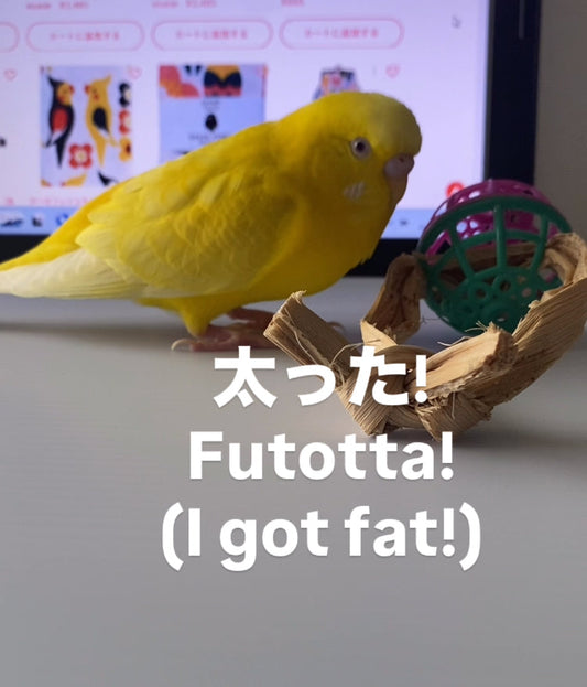 I got fat!