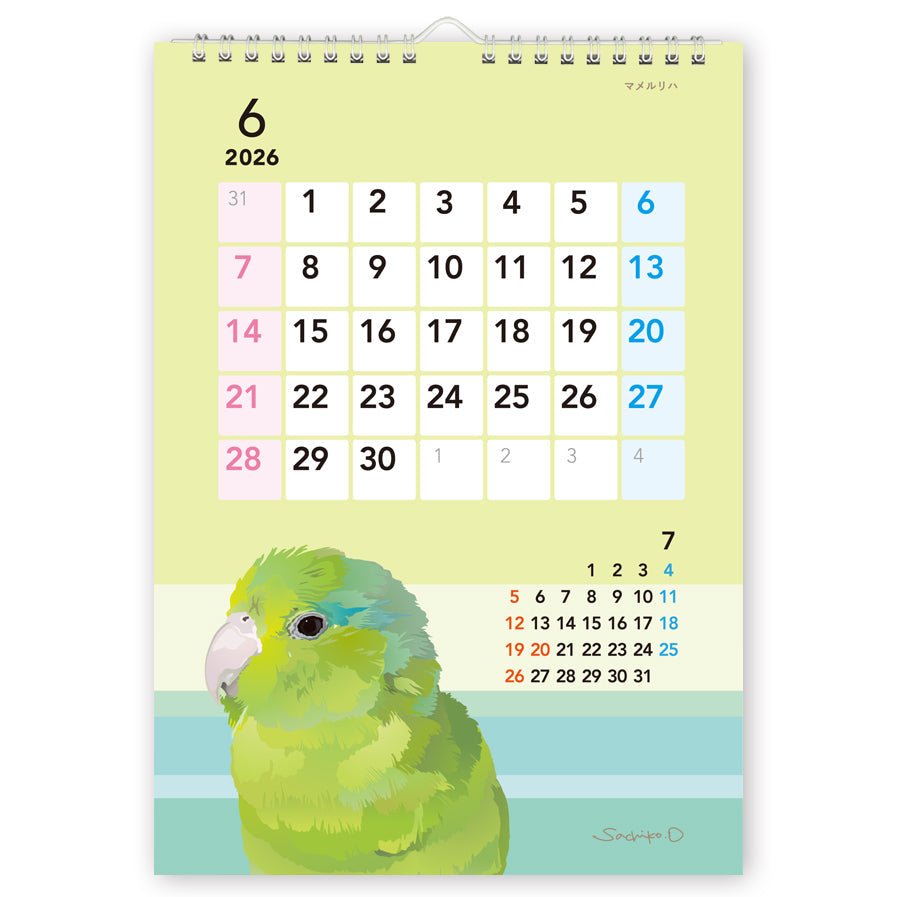 2026 Beautiful Birds Wall Calendar