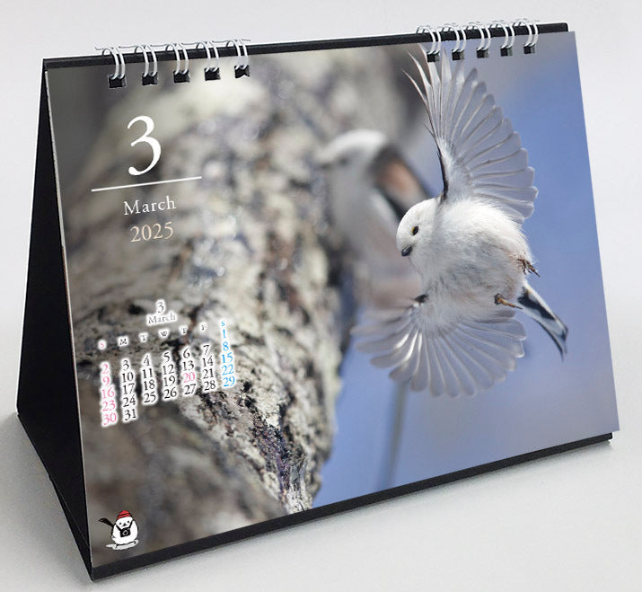 2025 Long-tailed Tit Four Season Desk Calendar