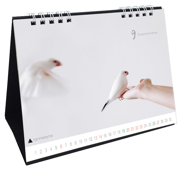 “Pre-order” 2026 Java Sparrow Desk Calendar