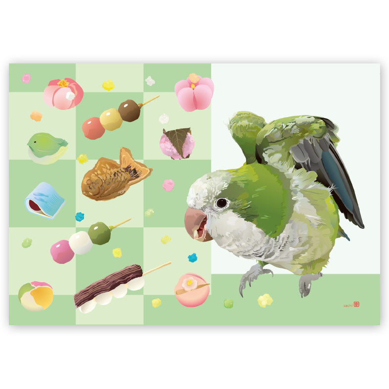 Monk Parakeet Memo Pad